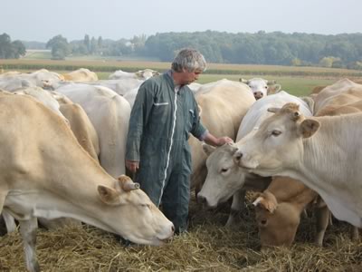 Frédéric et ses vaches